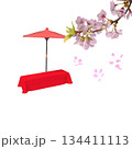 ソメイヨシノの桜の花と茶店や茶屋やカフェの野点の緋毛氈と床几 134411113