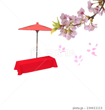 ソメイヨシノの桜の花と茶店や茶屋やカフェの野点の緋毛氈と床几 134411113