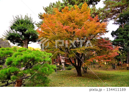 広島・縮景園 広島・縮景園 134411189