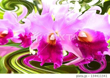 ランの花咲く癒しの窓辺 134411341