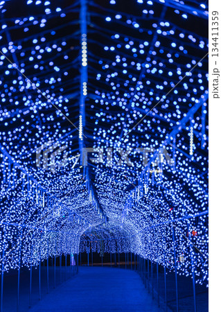 青いイルミネーション　宮城県　多賀城市 134411359