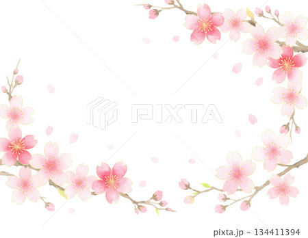 毎年見ても飽きの来ない満開の桜 134411394