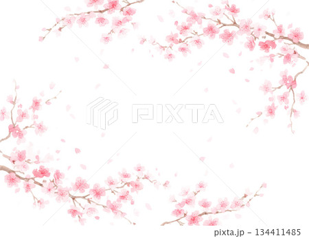 毎年見ても飽きの来ない満開の桜 134411485