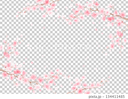 毎年見ても飽きの来ない満開の桜 134411485