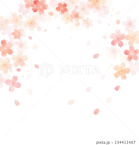 毎年見ても飽きの来ない満開の桜 134411487