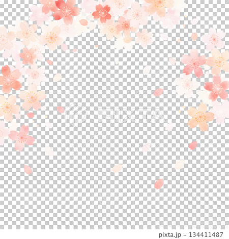 毎年見ても飽きの来ない満開の桜 134411487