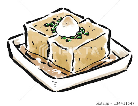 揚げ出し豆腐　筆タッチ手描きイラスト 134411547