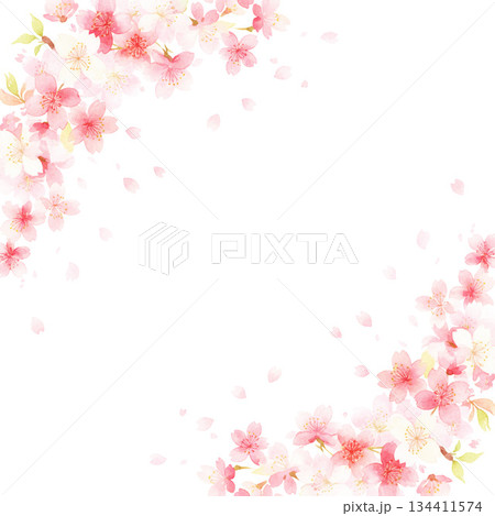 毎年見ても飽きの来ない満開の桜 134411574