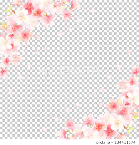 毎年見ても飽きの来ない満開の桜 134411574