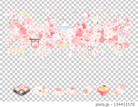 每年都能看到盛開的櫻花，百看不厭。 134411578