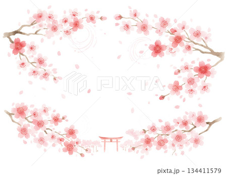 毎年見ても飽きの来ない満開の桜 134411579