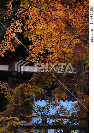 兵庫県加東市・播州清水寺の紅葉 兵庫県加東市・播州清水寺の紅葉 134411866