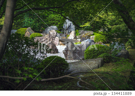 京都 将軍塚青龍殿庭園 134411889