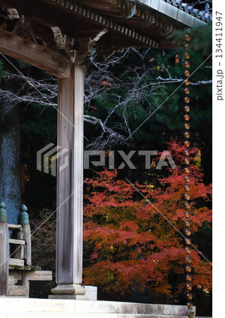 兵庫県加東市・播州清水寺の紅葉 兵庫県加東市・播州清水寺の紅葉 134411947