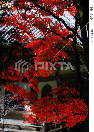 兵庫県加東市・播州清水寺の紅葉 兵庫県加東市・播州清水寺の紅葉 134411949