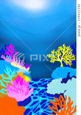 カラフルな美しいサンゴとキラキラした水中の青い海 カラフルな美しいサンゴとキラキラした水中の青い海 134412192