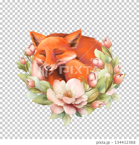 Hand-drawn illustration of a cute fox curled up and sleeping in a wreath of delicate pink flowers. Design is perfect for floral or animal-themed projects. Hand-drawn illustration of a cute fox curled up and sleeping in a wreath of delicate pink flowers. Design is perfect for floral or animal-themed projects. 134412368