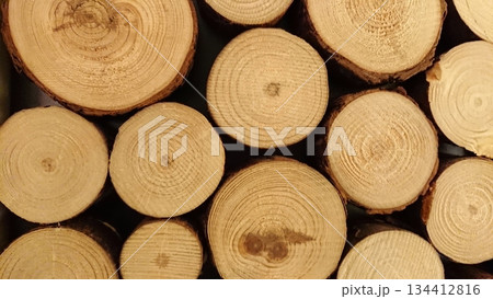 Natural wood log cross section texture background Natural wood log cross section texture background 134412816