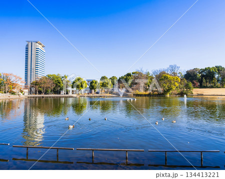 多摩ニュータウン　多摩中央公園　冬景 134413221