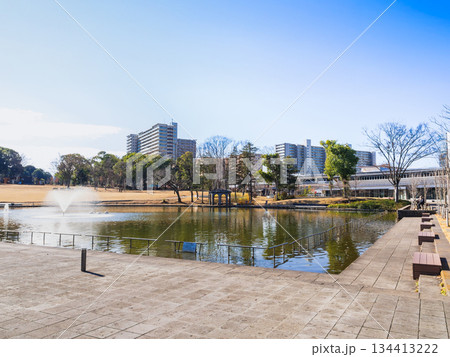 多摩ニュータウン 多摩中央公園 冬景 多摩ニュータウン 多摩中央公園 冬景 134413222