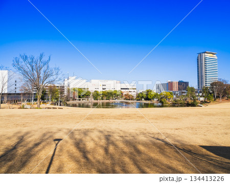 多摩ニュータウン　多摩中央公園　冬景 134413226