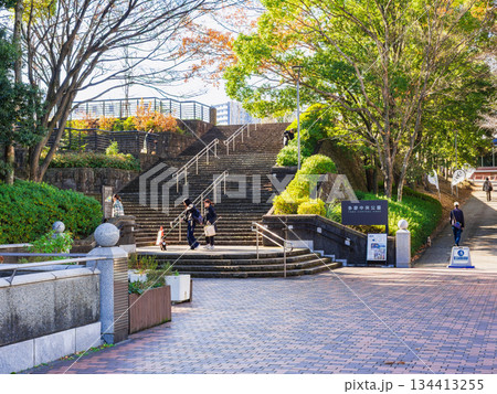 多摩ニュータウン 多摩中央公園 多摩ニュータウン 多摩中央公園 134413255
