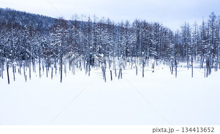 雪に覆われた冬の北海道美瑛町にある青い池の風景 134413652