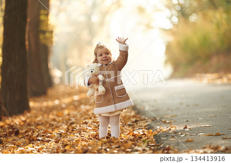 White teddy bear toy in hands. Cute little girl is in the autumn forest with fallen leaves White teddy bear toy in hands. Cute little girl is in the autumn forest with fallen leaves 134413916