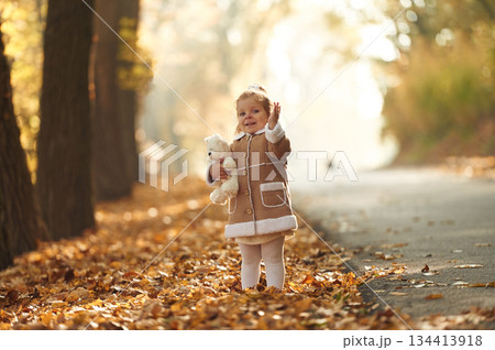 White teddy bear toy in hands. Cute little girl is in the autumn forest with fallen leaves 134413918