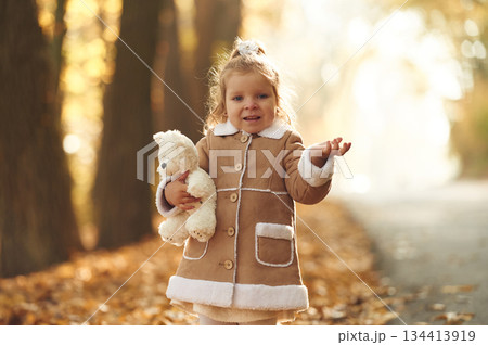 In the autumn forest. Cute little girl is with teddy bear in hands 134413919