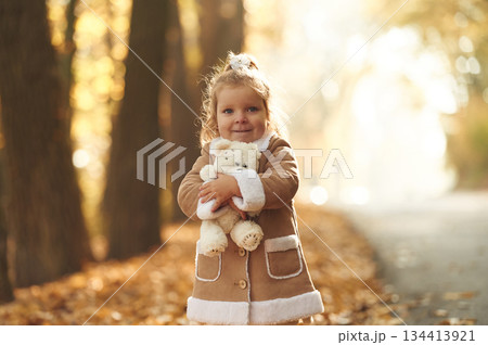 In the autumn forest. Cute little girl is with teddy bear in hands 134413921