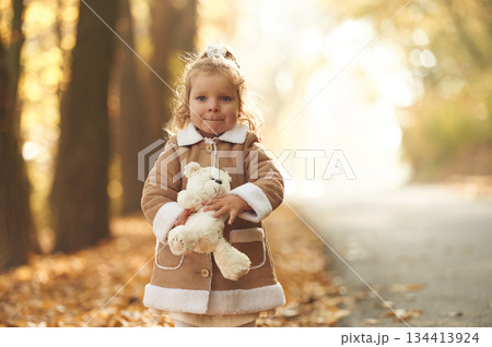 Near the road. Cute little girl is in the autumn forest with teddy bear in hands 134413924