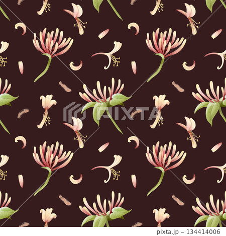 Botanical honeysuckle flowers and petals watercolor seamless pattern on dark brown. Pastel yellow and pink garden blooming vine plant for spring and summer designs. Hand drawn floral repeat background Botanical honeysuckle flowers and petals watercolor seamless pattern on dark brown. Pastel yellow and pink garden blooming vine plant for spring and summer designs. Hand drawn floral repeat background 134414006