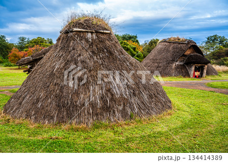三内丸山遺跡【青森県青森市】 134414389