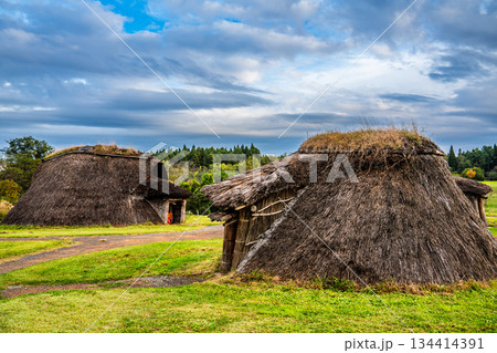 三内丸山遺跡【青森県青森市】 134414391