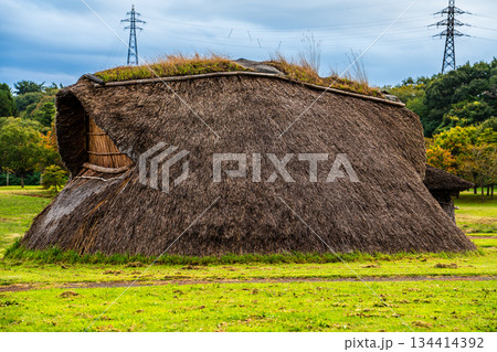 三内丸山遺跡【青森県青森市】 134414392