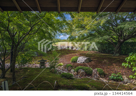 京都 将軍塚青龍殿庭園 京都 将軍塚青龍殿庭園 134414564