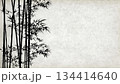 和紙を背景にした竹のシルエット 134414640