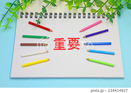 重要と書かれた文字素材 重要と書かれた文字素材 134414927