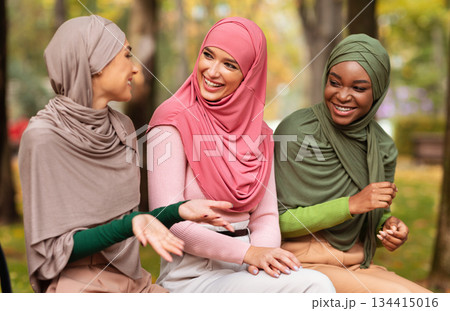 Three Arabic Ladies In Hijab Talking Sitting On Bench In City Park Outdoor Enjoying Conversation. Weekend Leisure, Muslim Ladies Meeting With Friends. Female Friendship Concept Three Arabic Ladies In Hijab Talking Sitting On Bench In City Park Outdoor Enjoying Conversation. Weekend Leisure, Muslim Ladies Meeting With Friends. Female Friendship Concept 134415016