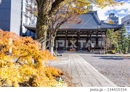 晩秋の本能寺 本堂正面 京都府京都市 晩秋の本能寺 本堂正面 京都府京都市 134415334
