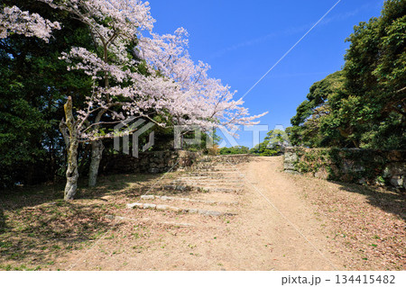 〈鳥取県〉米子城跡 内膳丸上段の曲輪を区切る石垣と石段 〈鳥取県〉米子城跡 内膳丸上段の曲輪を区切る石垣と石段 134415482