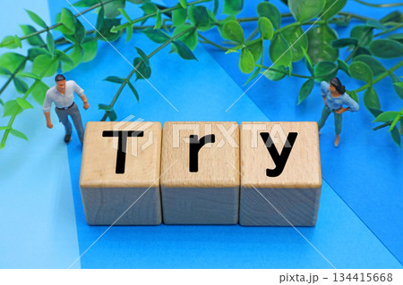 Tryと書かれたブロック Tryと書かれたブロック 134415668