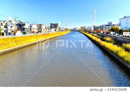 早瀬人道橋／新河岸川より下流(早瀬橋)方向を望む(東京都板橋区)【2025.11】 134415699