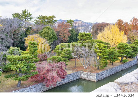 晩秋の二条城　天守閣跡から見た堀　京都市中京区 134416034