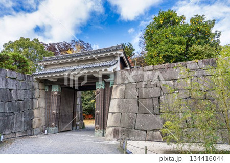 晩秋の二条城　北中仕切門と橙の果実　京都市中京区 134416044