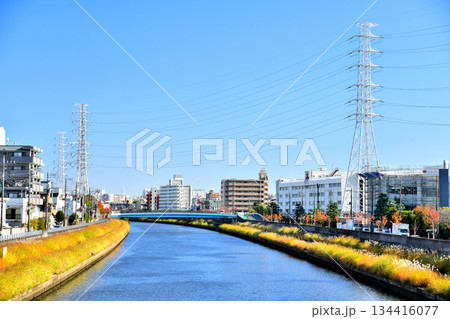 早瀬人道橋／新河岸川より下流(早瀬橋)方向を望む(東京都板橋区)【2025.11】 134416077