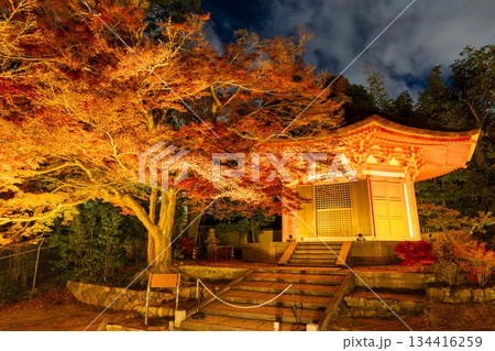 晩秋の東福寺　ライトアップされた庭園　京都府京都市 134416259