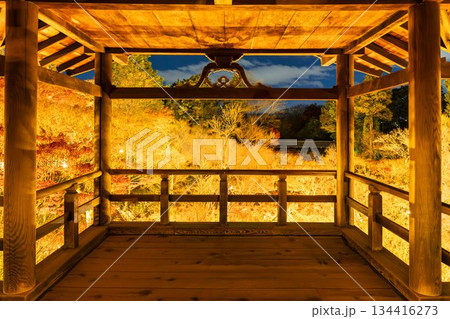 晩秋の東福寺　ライトアップされた通天橋　京都府京都市 134416273