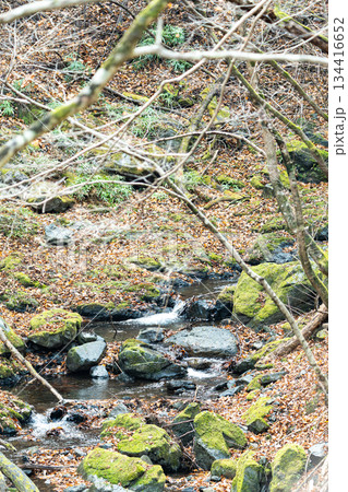 山の中の苔の生えた清流 134416652